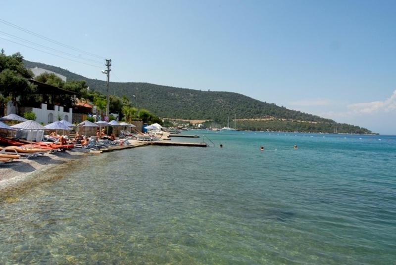 Torba Residence Exterior photo